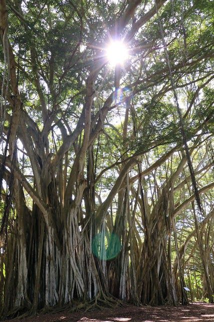 Kawela Bay Beach Park